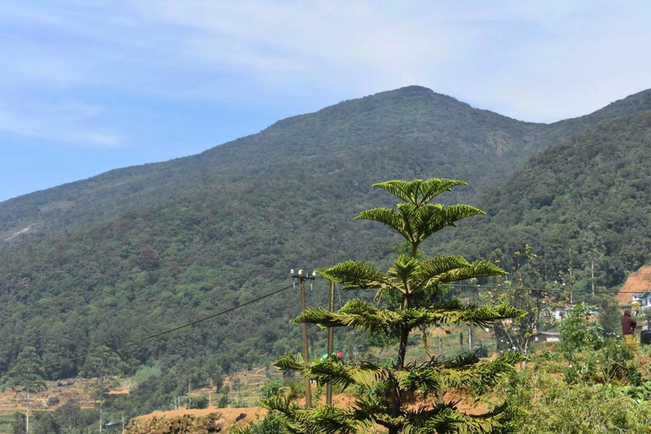 Hotel Grand Sun Inn Nuwara Eliya Dış mekan fotoğraf